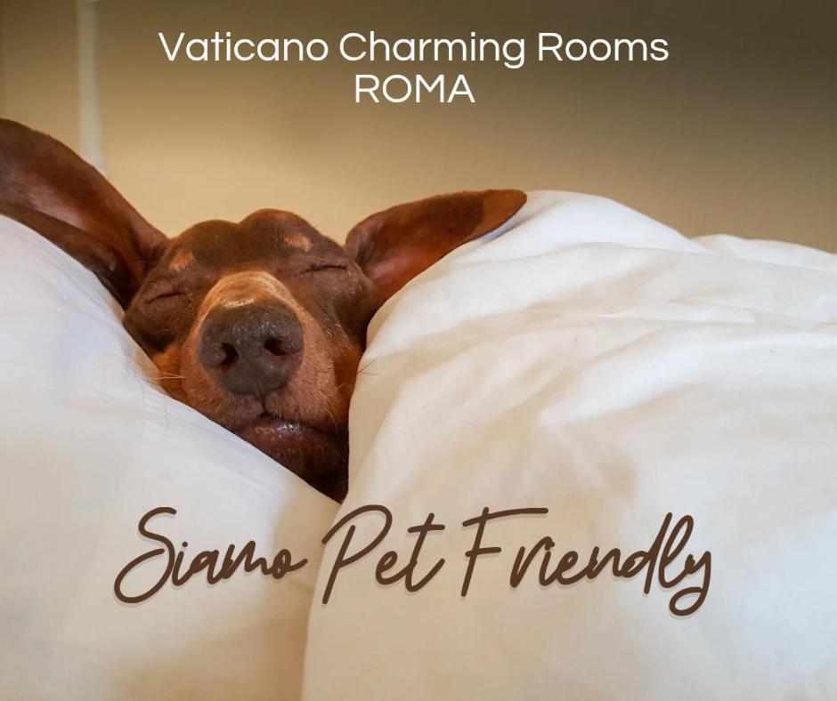 Vaticano Charming Rooms Rome Exterior photo